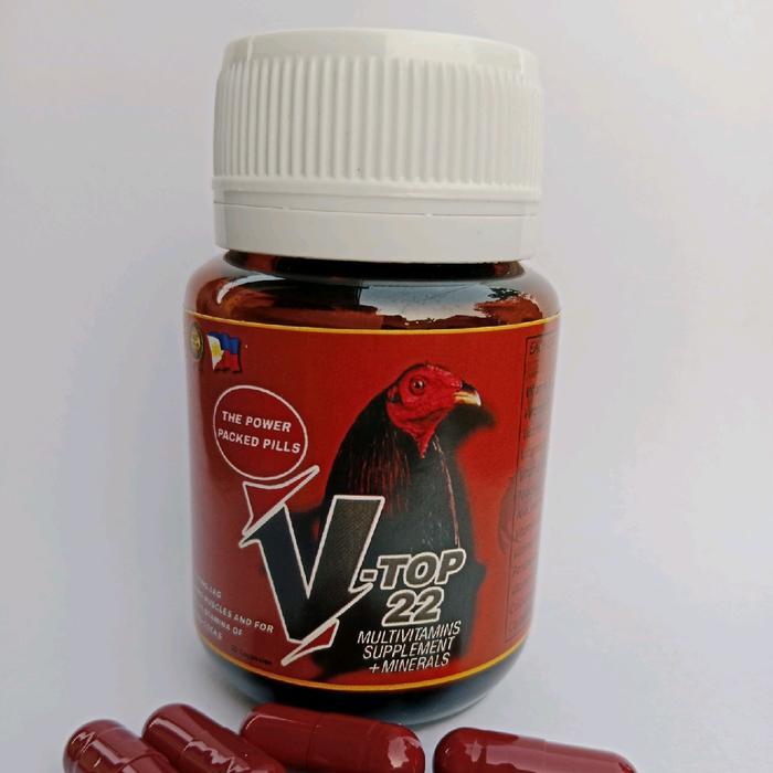 TERLARIS V22 TOP vitamin ayam taji ORIGINAL PHILIPPINES obat untuk ayam sakit lemas doping