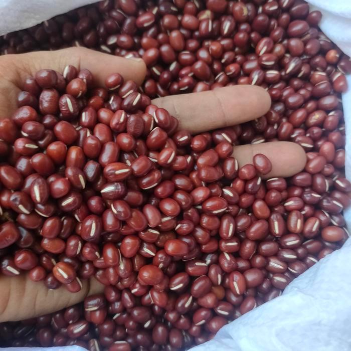 Terlaris Kacang Merah Import China / Kacang Merah Azuki - 1Kg