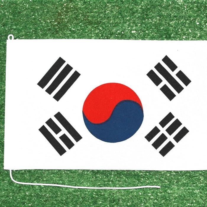 Bendera Negara Mini untuk Hiasan Koleksi