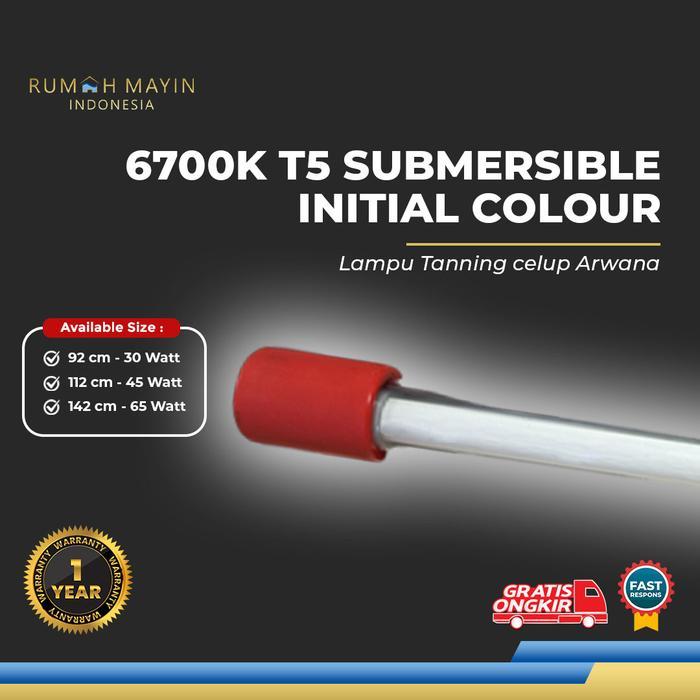 Lampu Tanning Celup T5 MAYIN INTERNATIONAL 6700K Aquarium Ikan Arwana - 142 cm, Standard