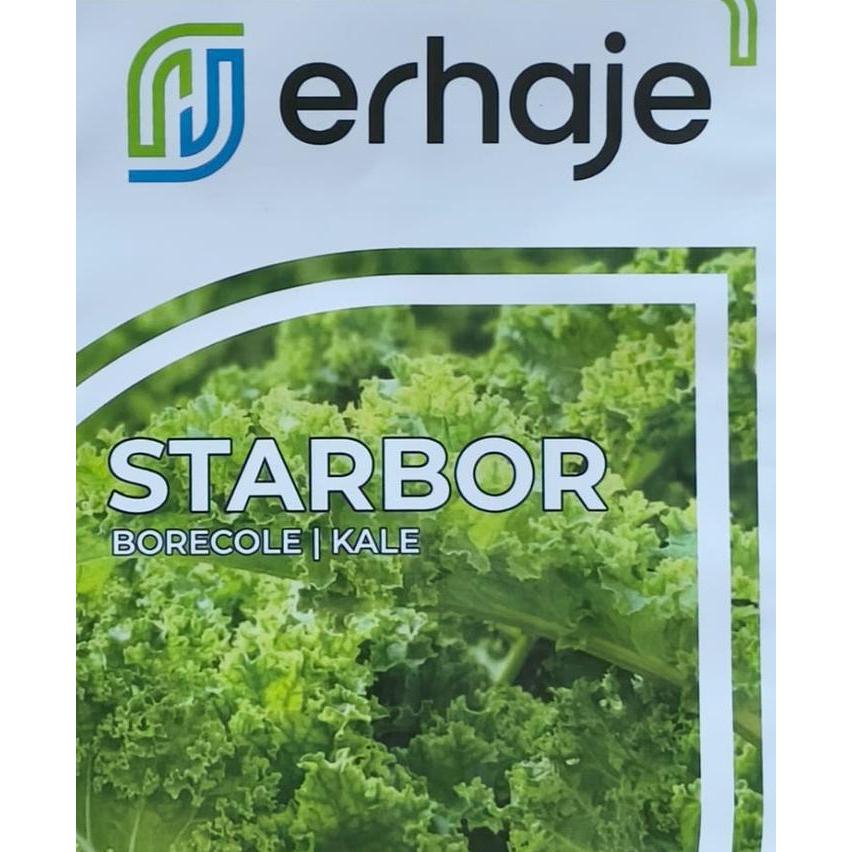 Benih Erhaje - Kale Curly Starbor F1