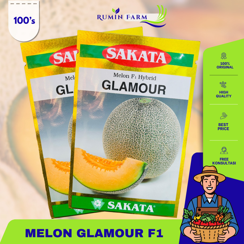 Benih Melon Glamour  Cap Sakata