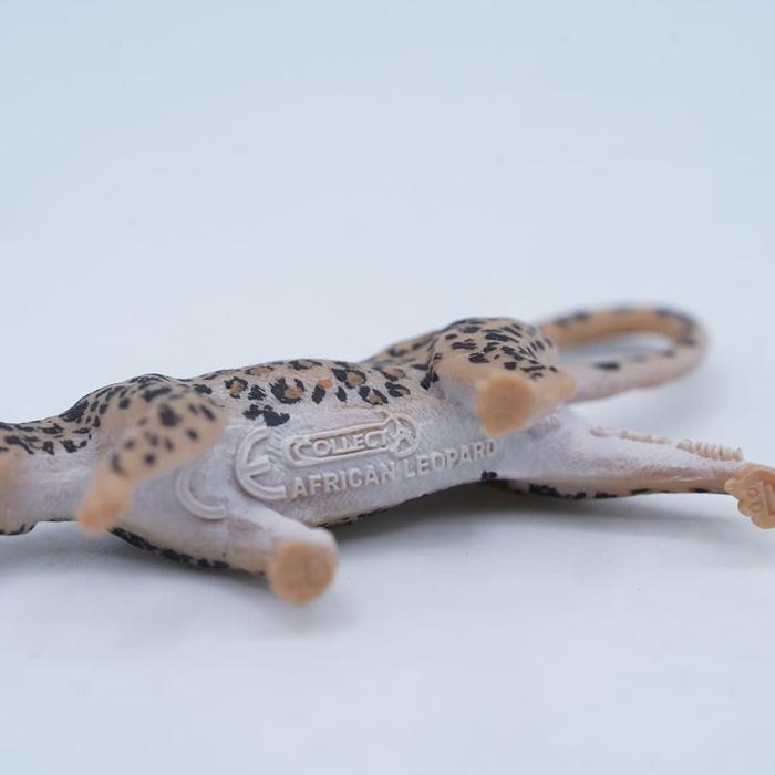 Grafi - Collecta A1212 Mini Wild Animals African Leopard Macan Tutul Afrika Panthera Pardus Pardus