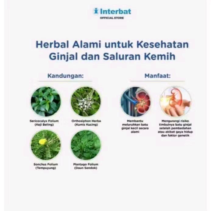 Interbat Renax Kapsul 50 Kapsul Untuk Membantu Melunakkan Batu Empedu Dan Ginjal New