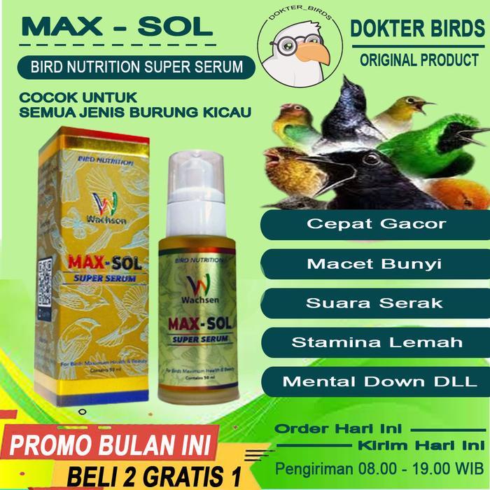 ORIGINAL MAX - SOL Suplemen Vitamin Protein Semua Jenis Burung Murai Pleci Lovebird Kenari Cucak Ijo