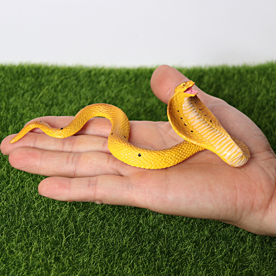 Realistic Wild Cobra Rattlesnake Python Cobra Snake Boa Constrictor Coralsnake Wild Life Animal