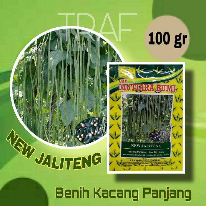 Lalala_Co Benih Kacang Panjang Jaliteng Isi 100 Gram Cap Mutiara Bumi