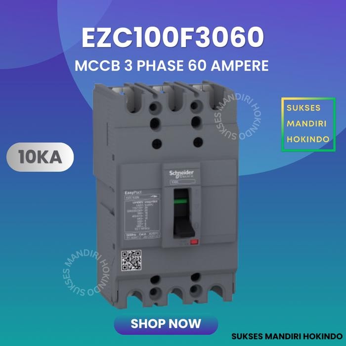 MCCB 3 Phase 60 Ampere 3p 60a Original SNI Schneider EasyPact EZC100F