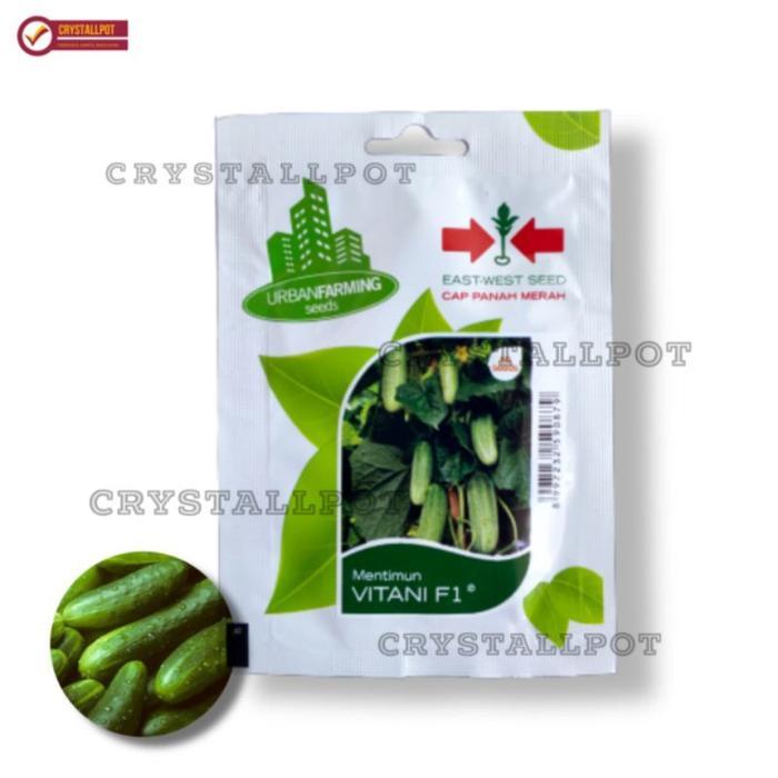 Tanamsegar- Benih Bibit Timun Lalap Vitani F1 Cap Panah Merah - Timun Vitani F1