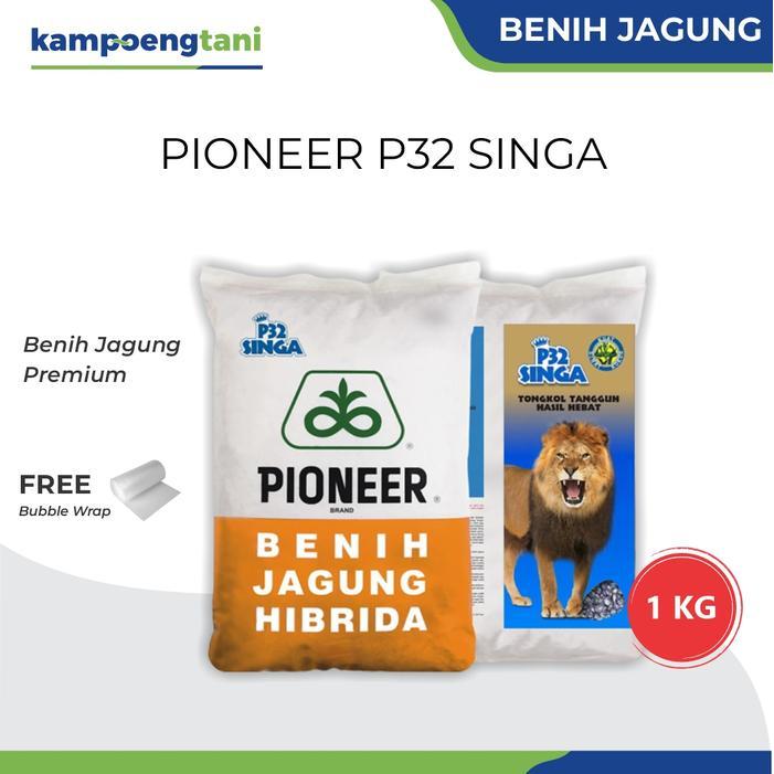 Benih Jagung Pioneer P32 Singa 1 Kg