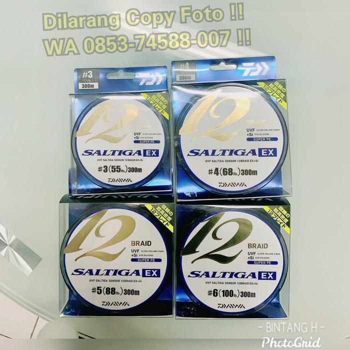 Senar PE Daiwa Saltiga Braid EX 12 PE 6 300 Meter Best Quality