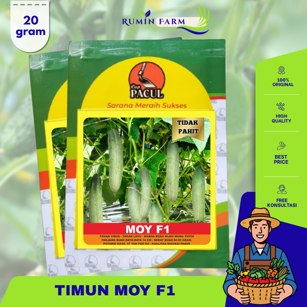 Benih Timun Moy 20 gram