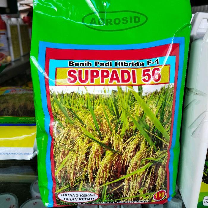 Benih Padi Hibrida SUPPADI 56