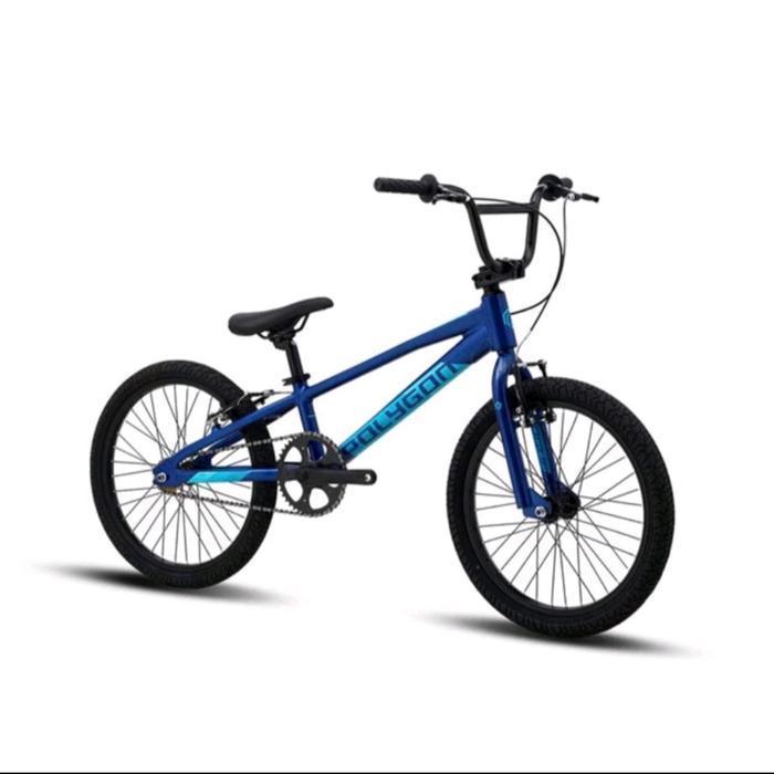 Polygon Sepeda Bmx 20 In Rogue Alloy