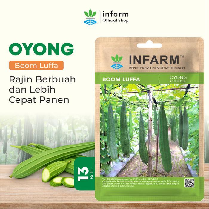 INFARM - Benih Oyong Boomlufa Unggul, Bibit Oyong Hhibrida Super Bibit Sayuran Buah Oyong Premium