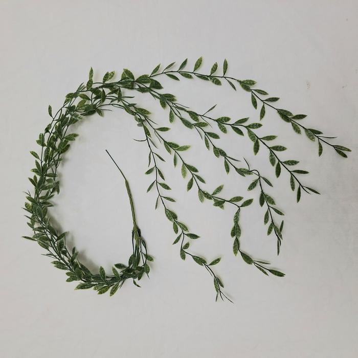 daun hias dekorasi daun lee kwan yew daun rambat plastik daun sulur