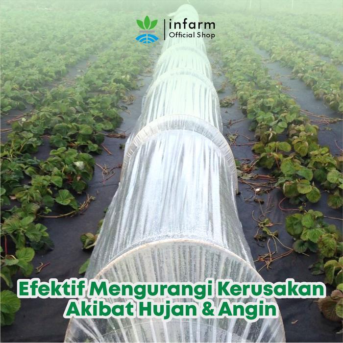 LIMITED EDITION INFARM - Plastik UV Greenhouse 250 micron Plastik Anti UV 14% Penutup Tanaman Tahan