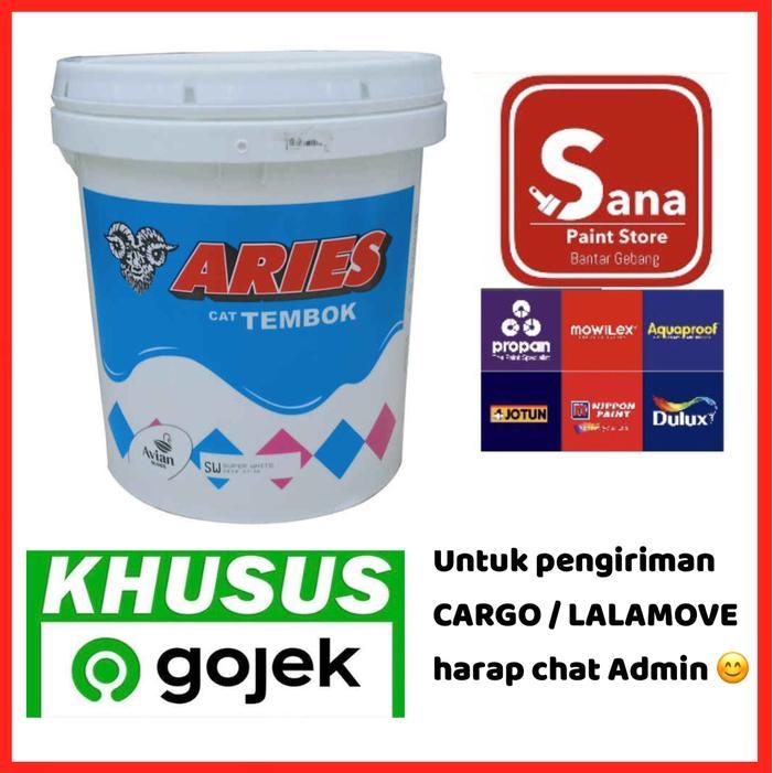 CAT TEMBOK ARIES 20 KG / PUTIH