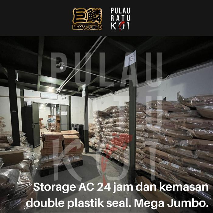Mega Jumbo Growth Pelet Pre Digestion Pakan Hi Growth Ikan Koi Bulky Premium High Quality Import