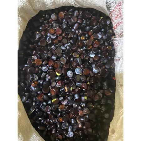 TERLARIS Buah Kabau Buah Jering Saudaranya Jengkol Julang Jaling Lalapan Khas Lampung 1kg