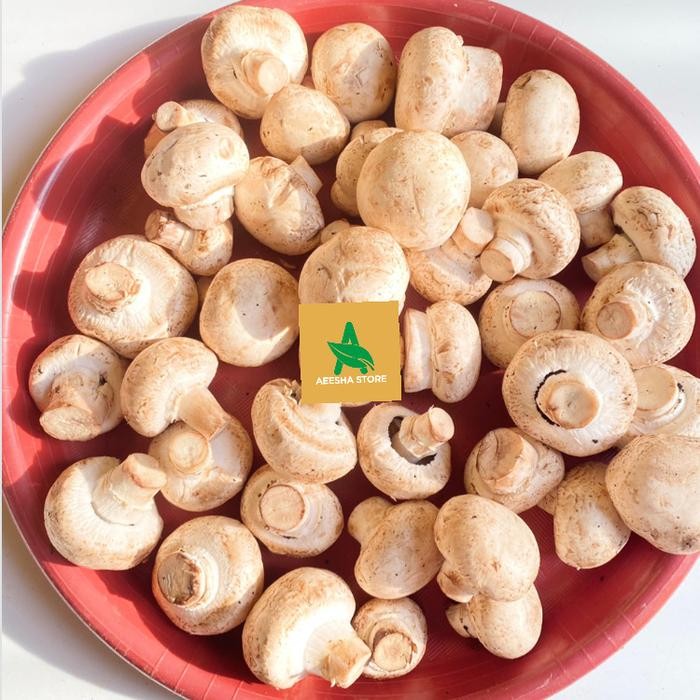 

New Jamur Kancing Jamur Champignon 250gr