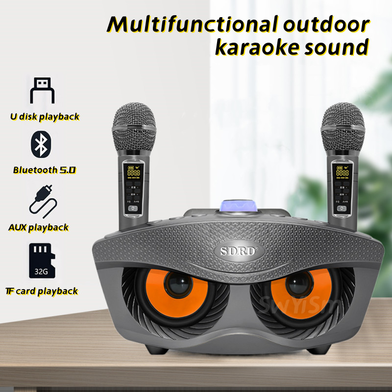 SD306Plus Professional Karaoke Machine Wireless Bluetooth Speaker With Dual Mic Outdoor Home KTV Sys
