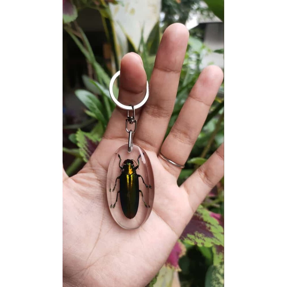 gantungan resin serangga asli samber lilin