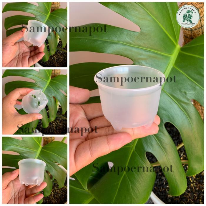NW pot bunga tanaman mini nkt panda 06 bening transparan 6cm - nkt mini