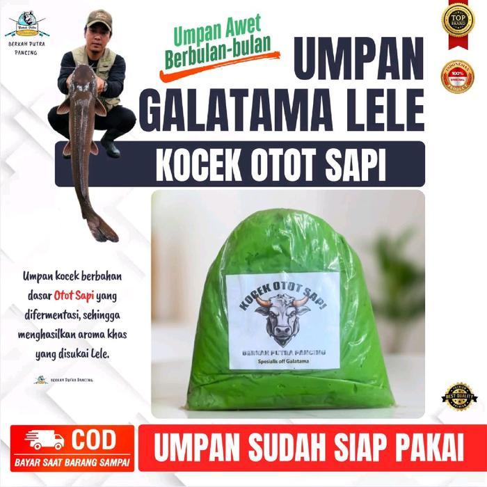 Umpan mancing galatama lele kocek otot sapi