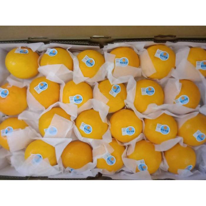 PROMOO AK buah jeruk ponkan ponkam lokam lukam honey mandarin manis cina taiwan
