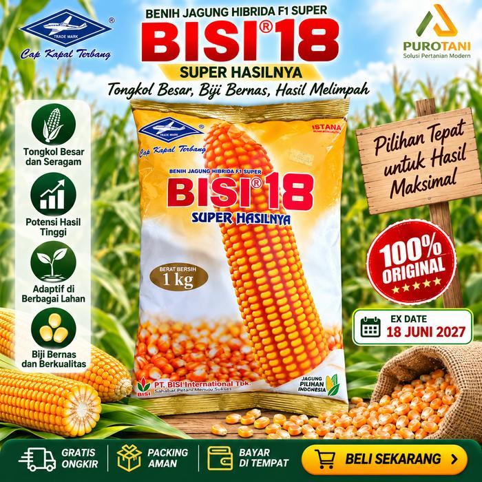 Benih Jagung Bisi 18 1kg Jagung Hibrida F1 Super BISI 18 Kapal Terbang
