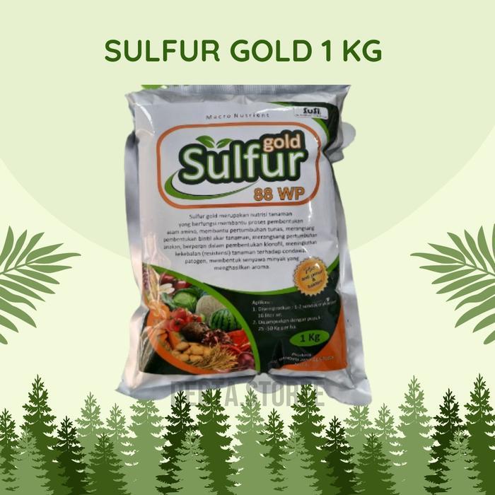Sulfur Gold 1 Kg Fungisida Sulfur Belerang