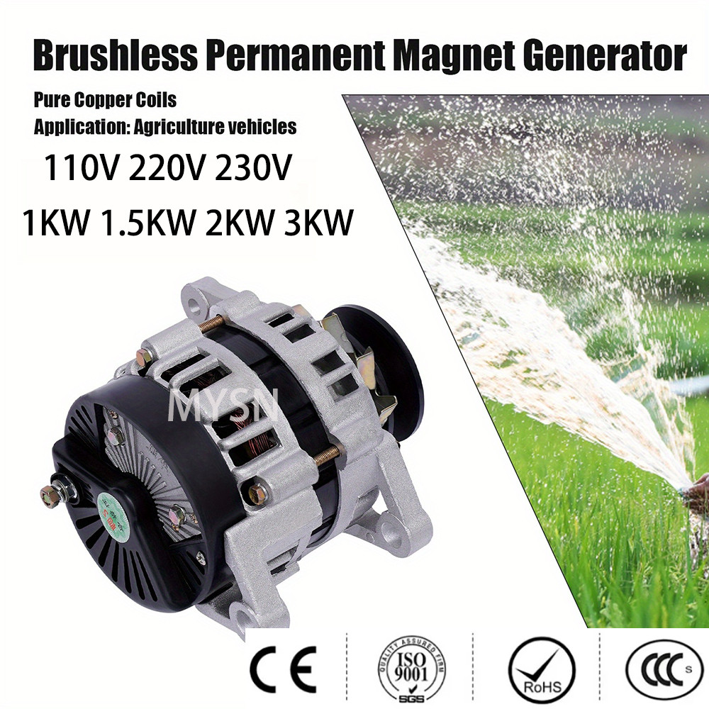 High Quality 50Hz Permanent Magnet Generator 220V 230V 3000W Pure Copper Alternator Portable Power