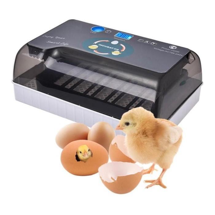 DISKON 20 Egg Incubator Mesin Tetas Parrot Burung HHD 20 Otomatis mirip RCOM
