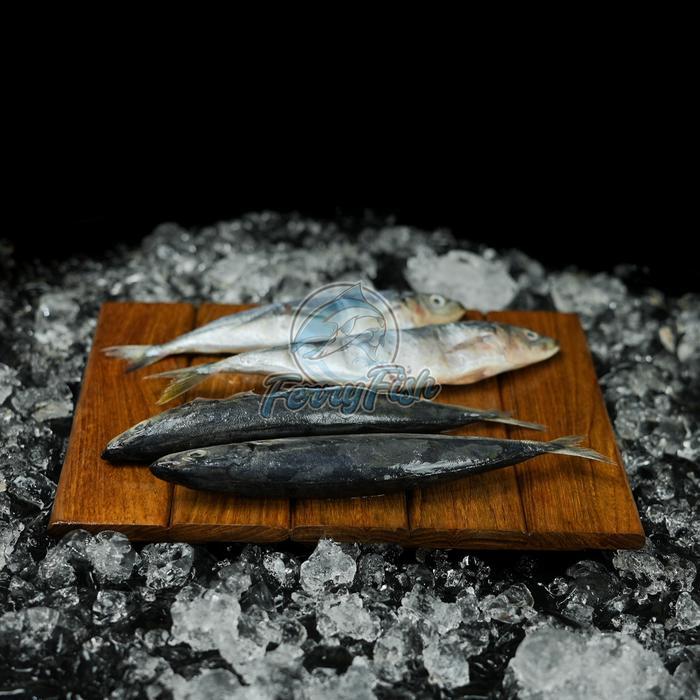 Ikan Kembung Banjar / Ikan Kembung 1 Kg