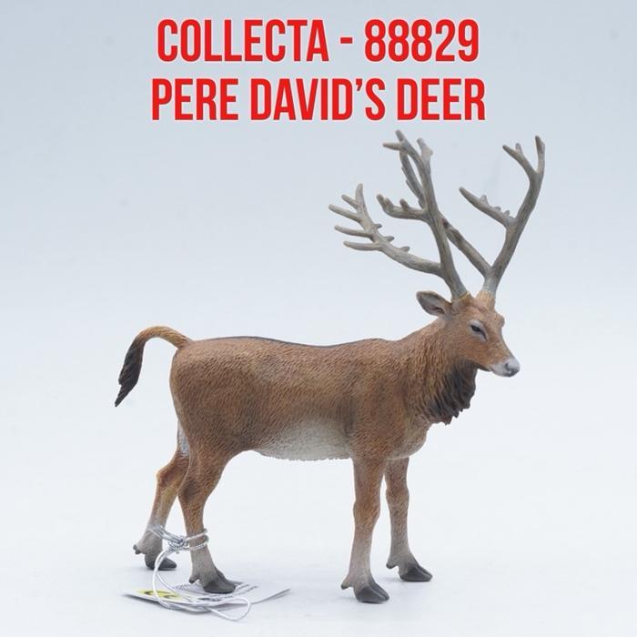 Grafi - Collecta 88829 Pere DavidS Deer Rusa Pere David Elaphurus Davidianus Binatang Figure