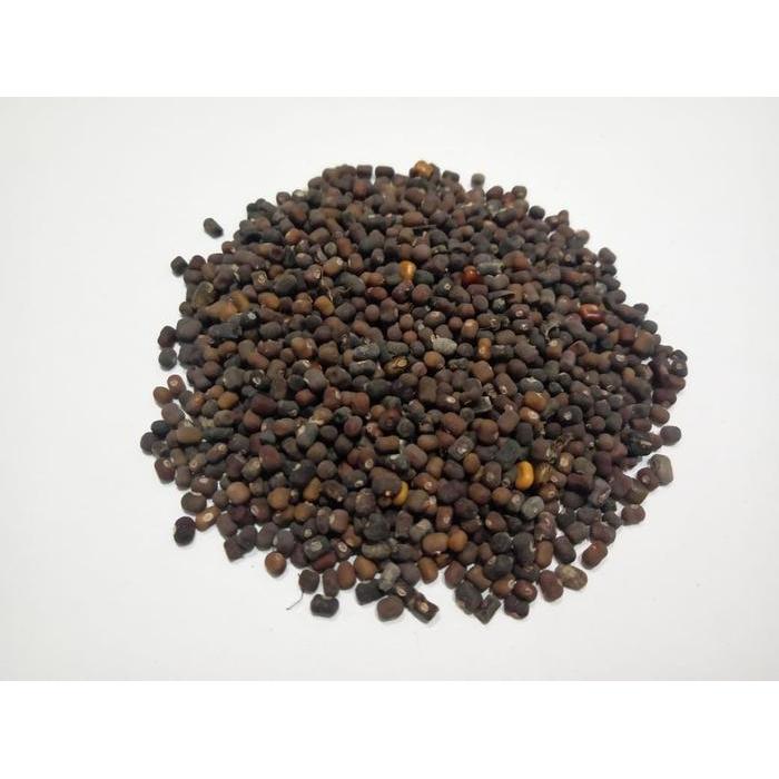 TERLARIS Benih PJ (Pueraria javanica) 1000 Gram