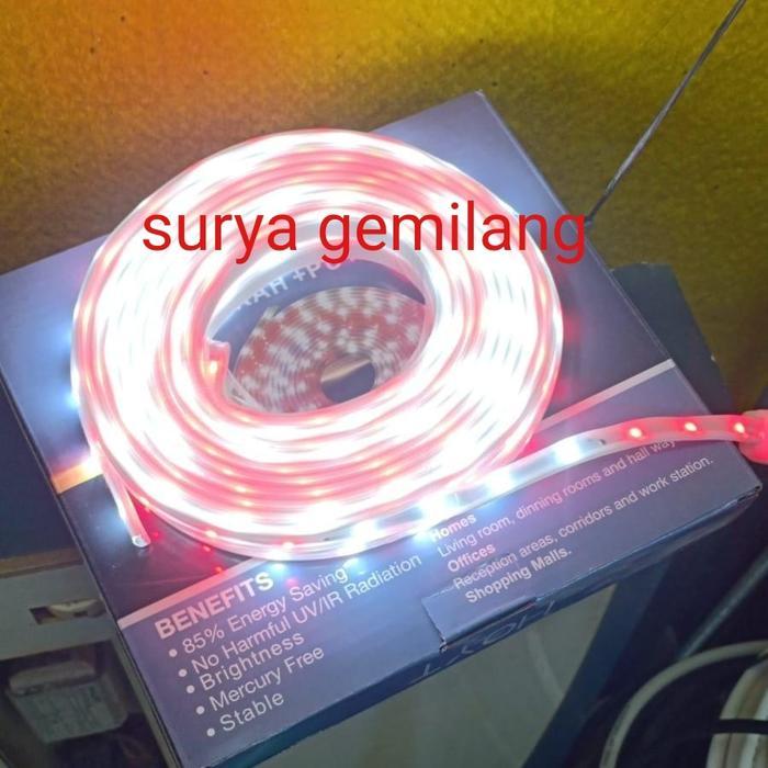 Diskon Lampu Led Selang Merah Putih 7Meter 7M. Led Selang Merah Putih Kelap Kelip. Lampu Led Selang