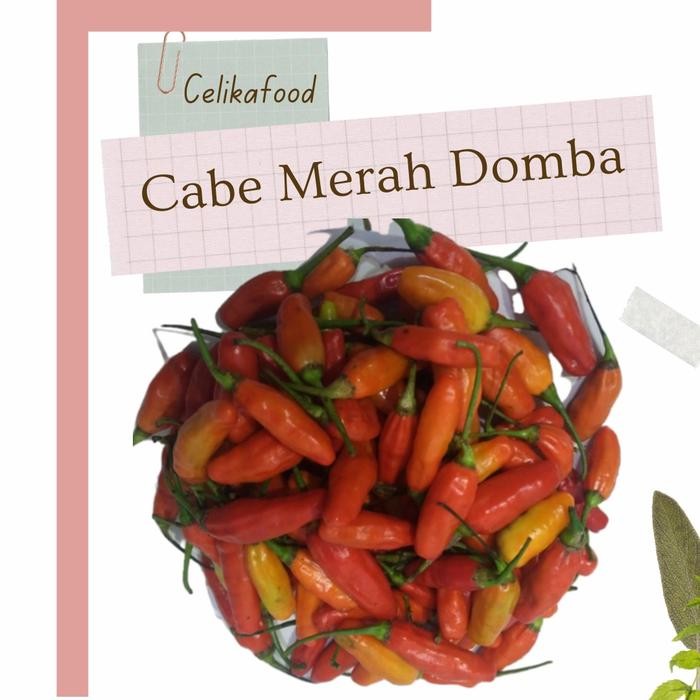 

New Cabai Rawit Merah Domba 100 gr Cabe Cengek Bumbu Rempah Pedas Buah
