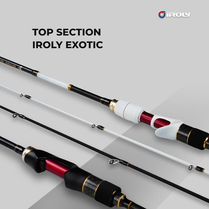 TOP SECTION IROLY EXOTIC TYPE O & EXOTIC LIMITED EDITION