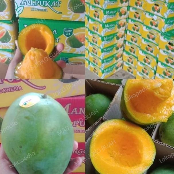 BUAH MANGGA HARUMANIS PROBOLINGGO MATANG, (1 KG)