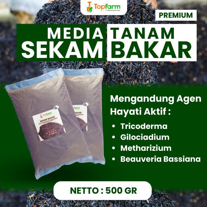 BERKUALITAS Sekam Bakar / Pupuk Sekam Fermentasi / Pupuk Sekam Tanaman / Pupuk Sekam Bakar Kompos