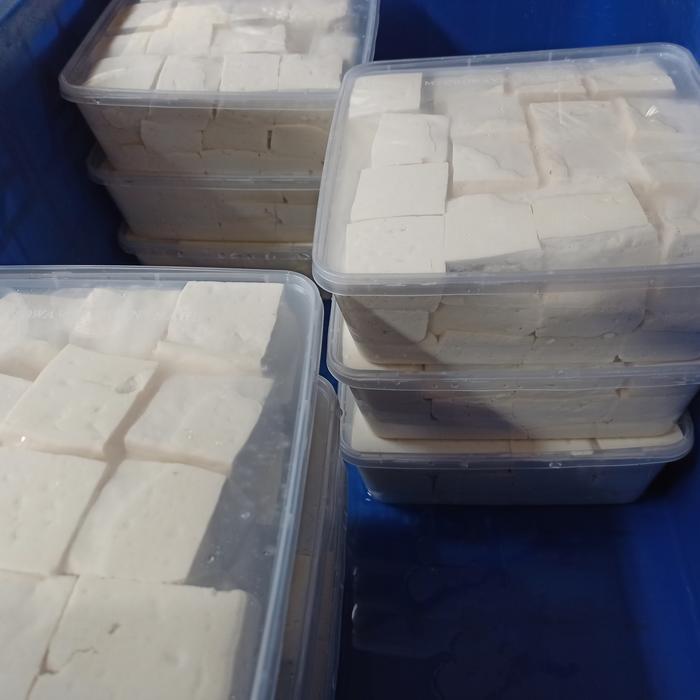 NEW tahu pong sumedang per box 48pcs