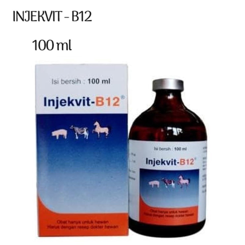 Injekvit B12 100ml Vitamin Pertumbuhan B 12 Injeksi Kambing Sapi Hewan