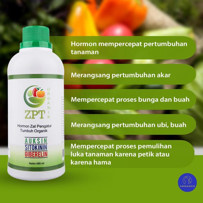 Hormon Zpt Organik Zat Pengatur Tumbuh Auksin Giberelin Sitokinin