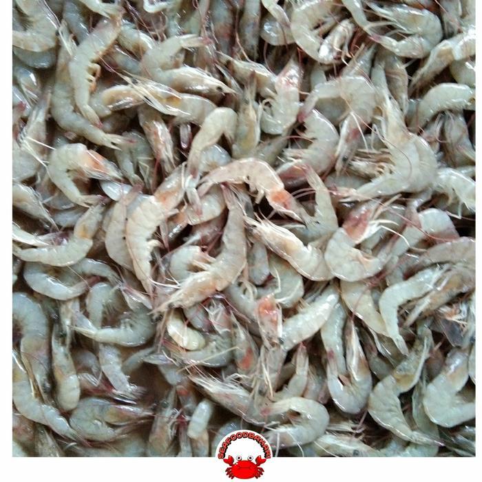 Udang Kecil/Udang Bakwan Segar