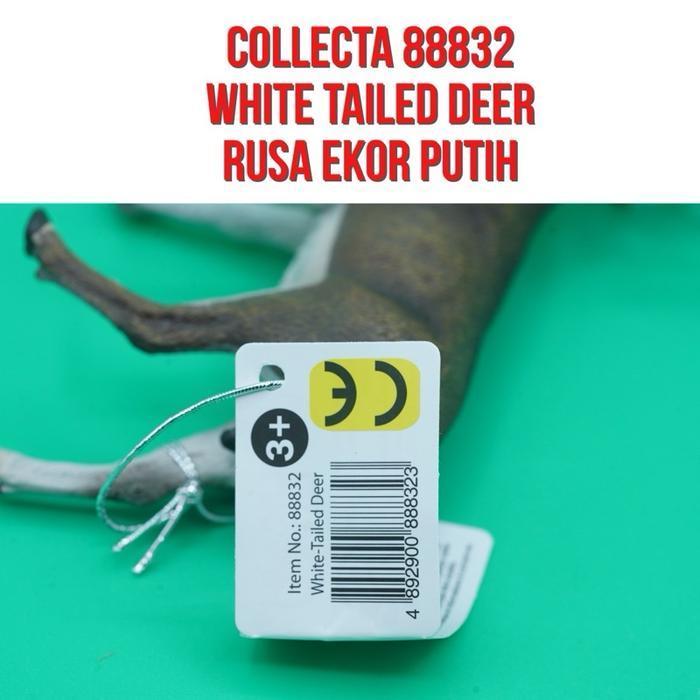 Grafi - Collecta 88832 White Tailed Deer Buck Rusa Ekor Putih Jantan Odocoileus Virginianus Mainan