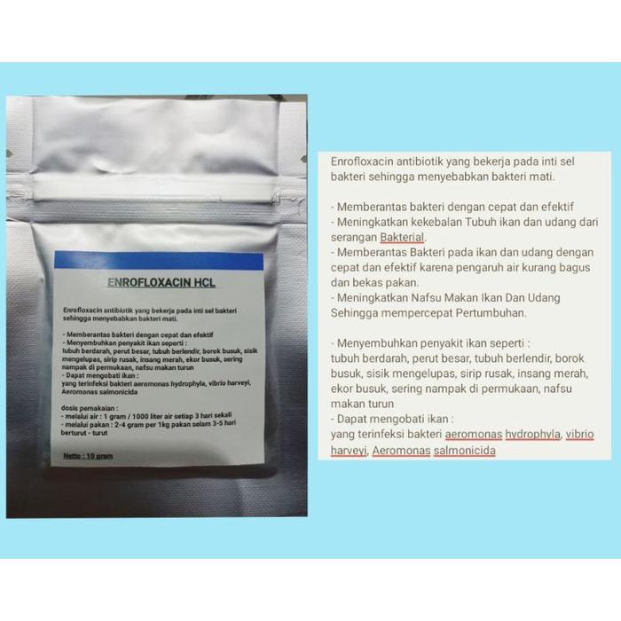 Enrofloxacin Hcl 10 Gram / Antibiotik Ikan / Enro / Enrofloxacin / Obat Ikan / Inroflox / Inroflok
