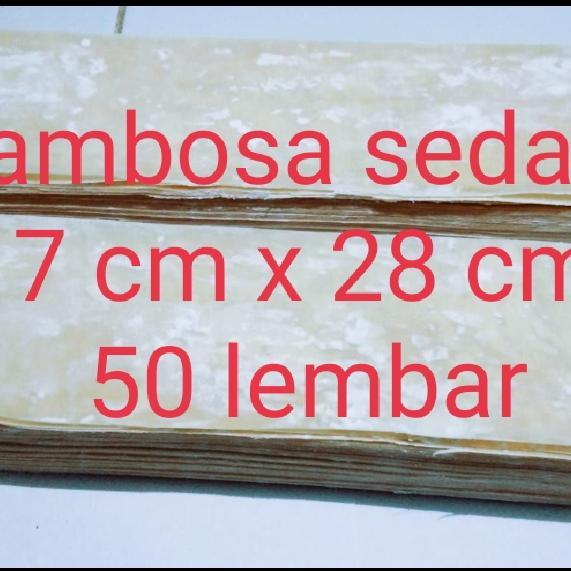 SALE kulit samosa sedang