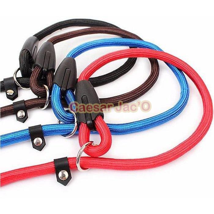 Tali Tuntun Kalung Anjing Hewan / Pet Dog Leash Collar Cesar Milan
